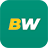 BetWinner bahis sitesi logosu